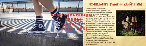 ешки Козельск
