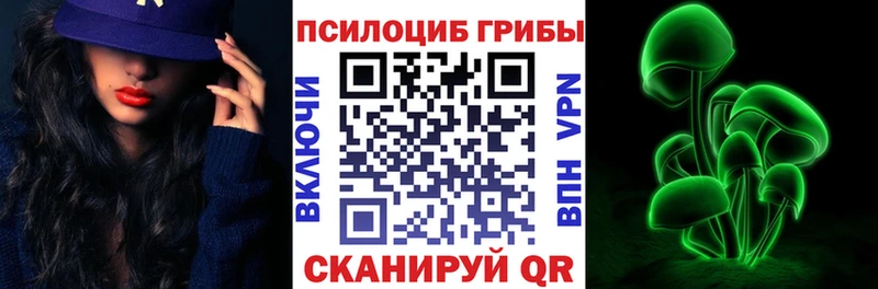 Псилоцибиновые грибы Psilocybe  купить  цена  Партизанск 